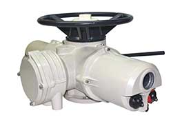 電動(dòng)執(zhí)行器LM系列