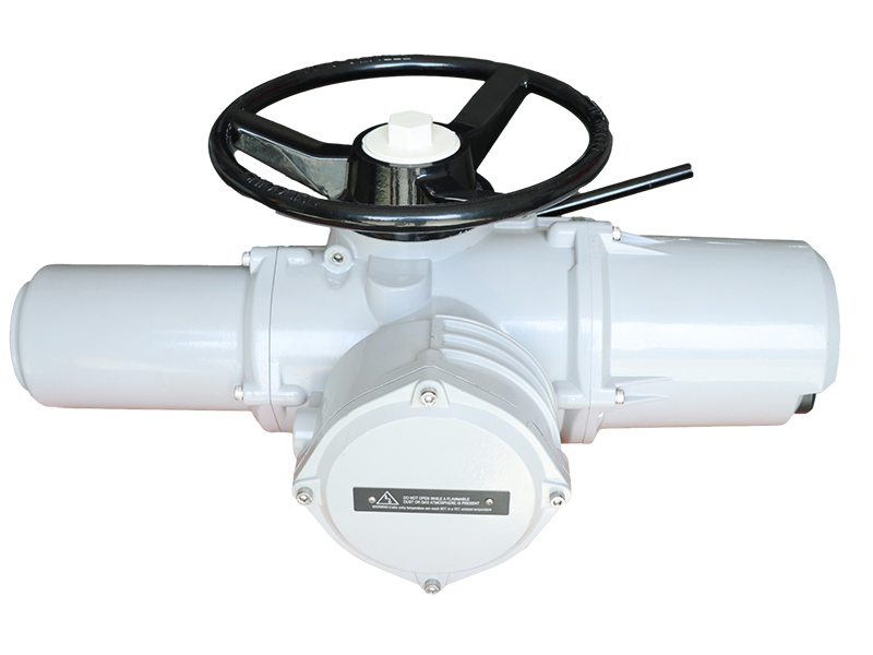 電動(dòng)執(zhí)行器LM系列