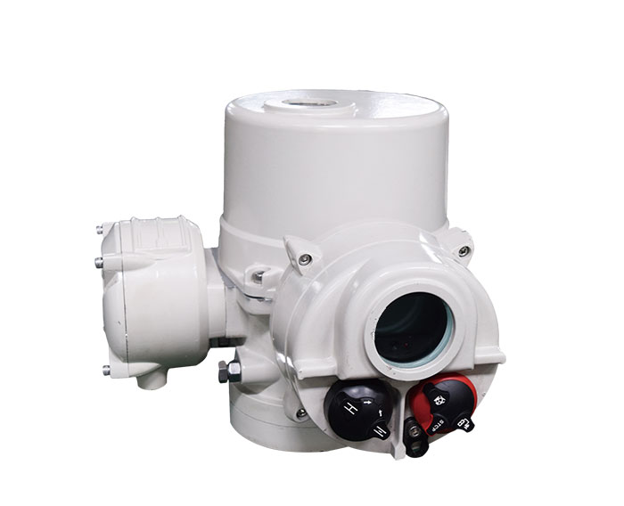 電動(dòng)執(zhí)行機(jī)構(gòu)原理